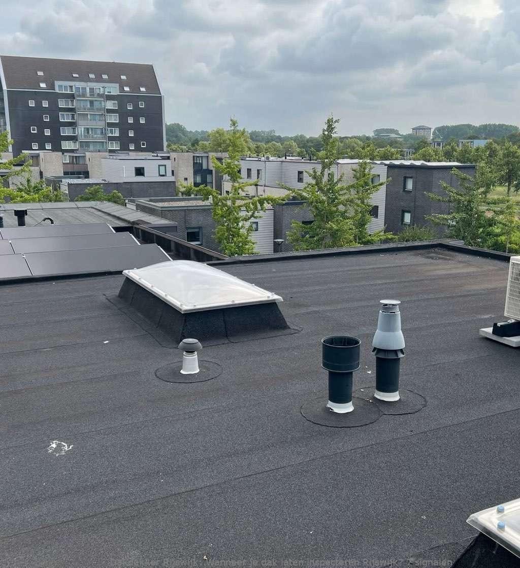 Dak Laten Inspecteren Rijswijk