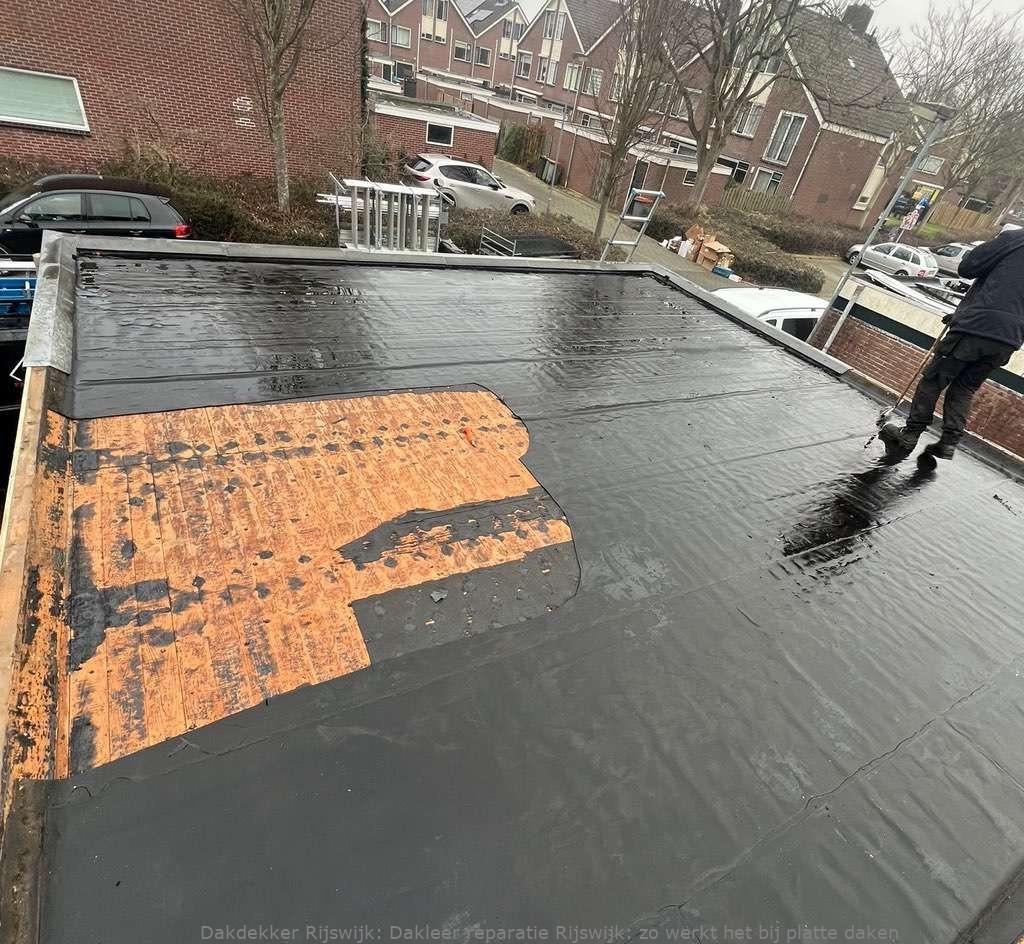 Dakleer Reparatie Rijswijk