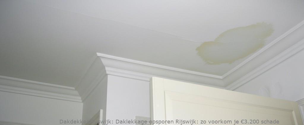 Daklekkage Opsporen Rijswijk 1