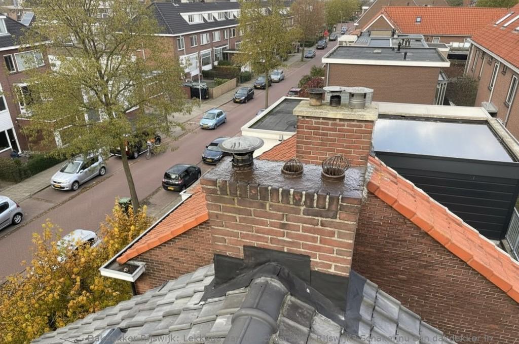 Lekkage Aan De Schoorsteen Rijswijk
