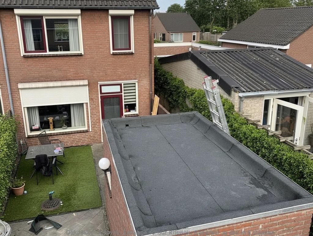 Lekkage Schuur Rijswijk