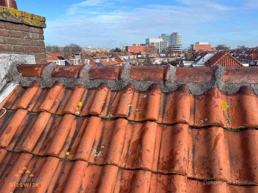 Rijswijk Daken Renoveren